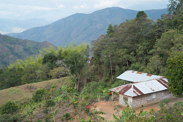 New Single Origin Coffee: Colombia Cauca