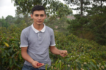 Honduran coffee farmer, Edil Adonis Benitez holding ripe coffee cherries.