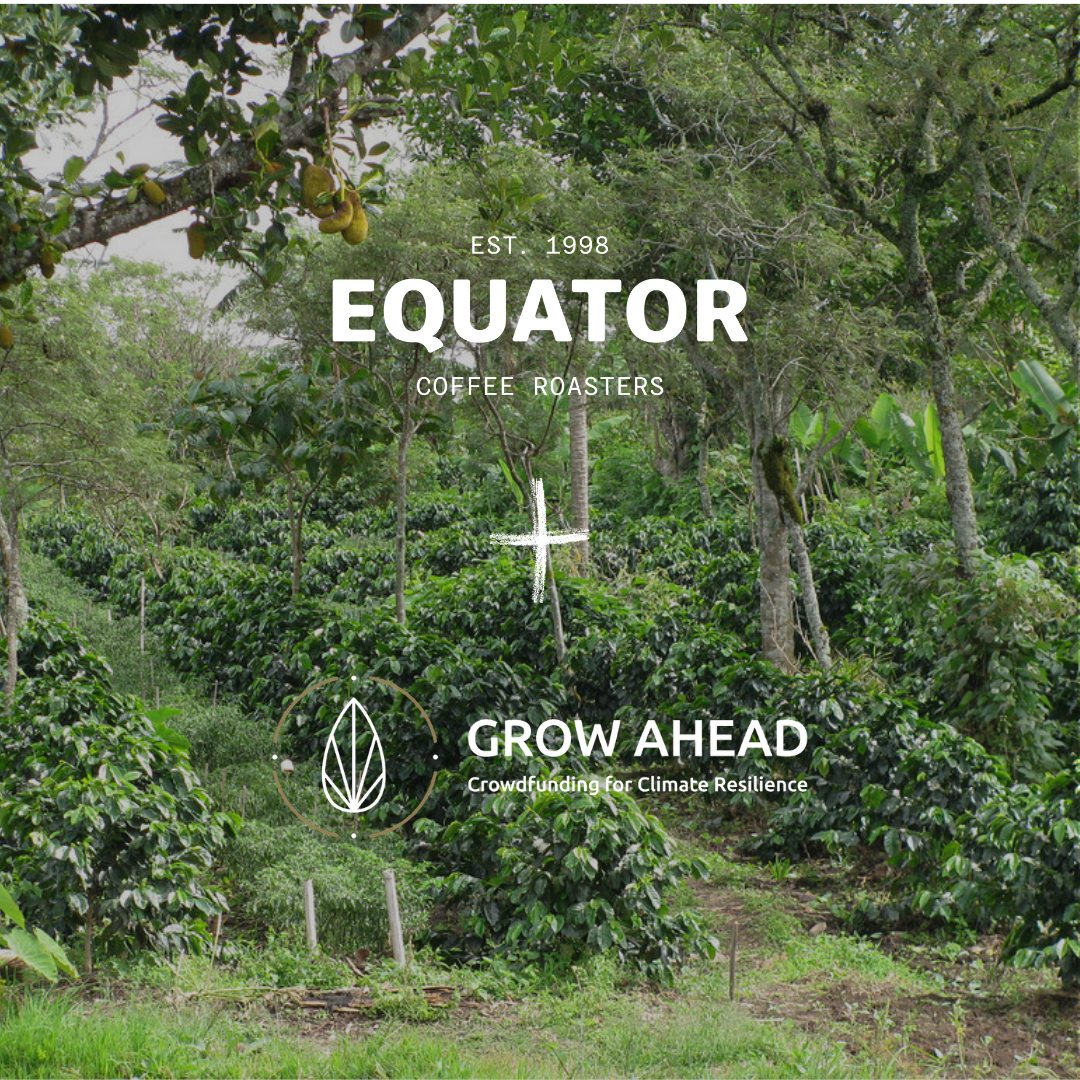 Buy Coffee = Plant Trees with our latest Coffee for a Cause