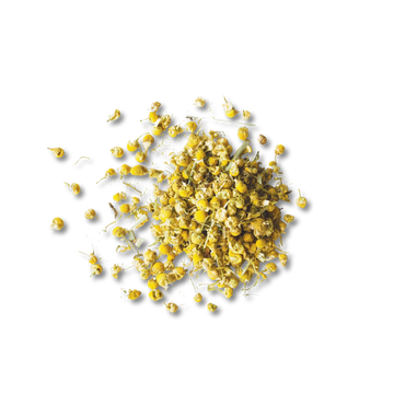 Chamomile Medley loose leaf tea