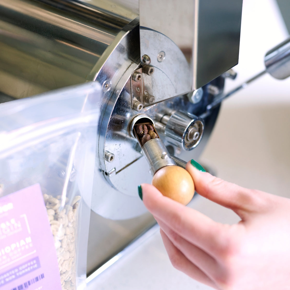 Sampler from at home coffee roaster being pulled out showing roasted beans.